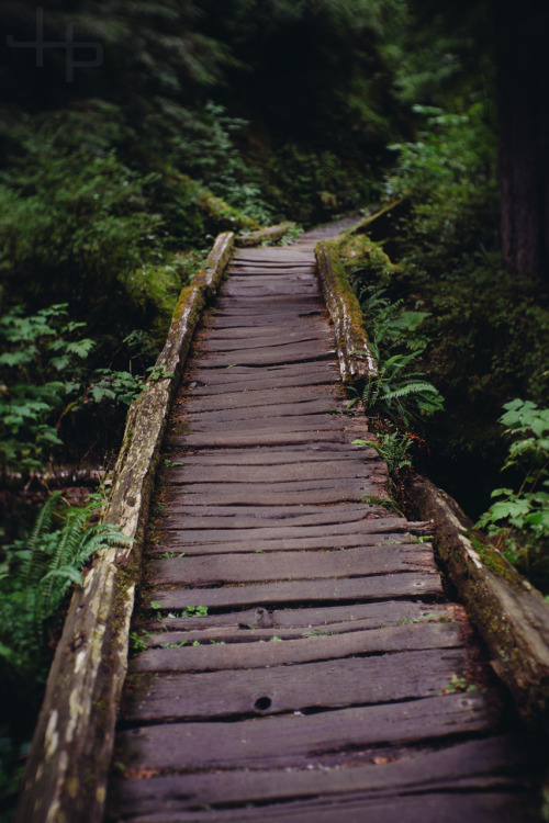 jasonhavenphoto:  Jason Haven - Lake Twenty Two, Granite Falls, Washington
