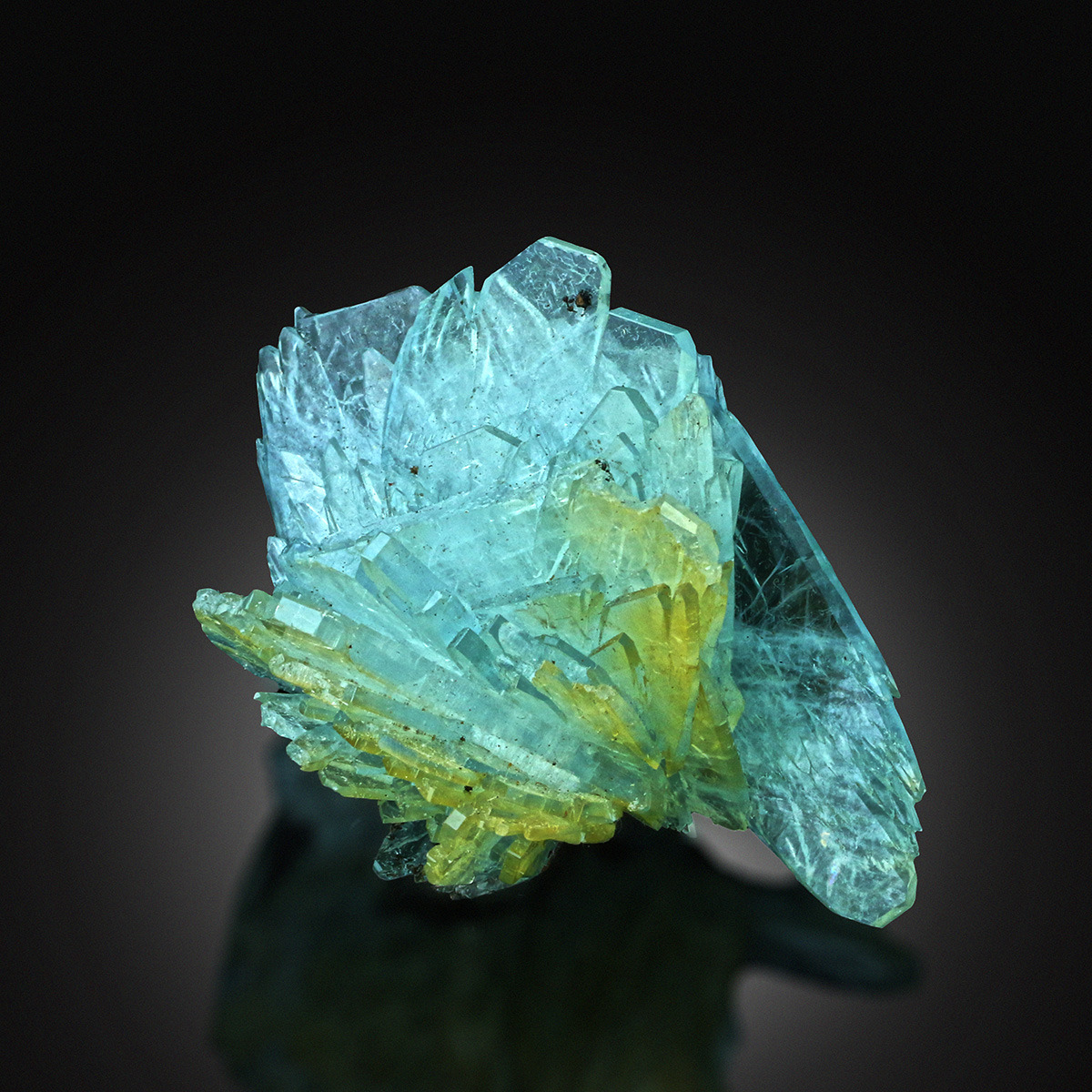 hematitehearts: Baryte Locality: Nador, Oriental Region, Morocco 