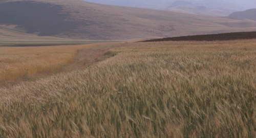 highvolumetal:The Wind Will Carry Us , Abbas Kiarostami , 1999.