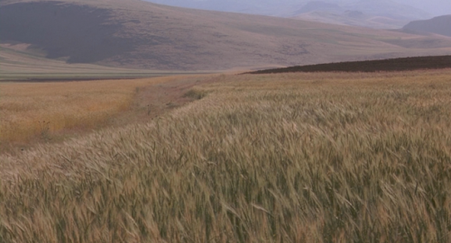 highvolumetal: The Wind Will Carry Us ,  Abbas Kiarostami , 1999.