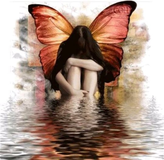 purplhaze:  My beautiful butterfly 🦋