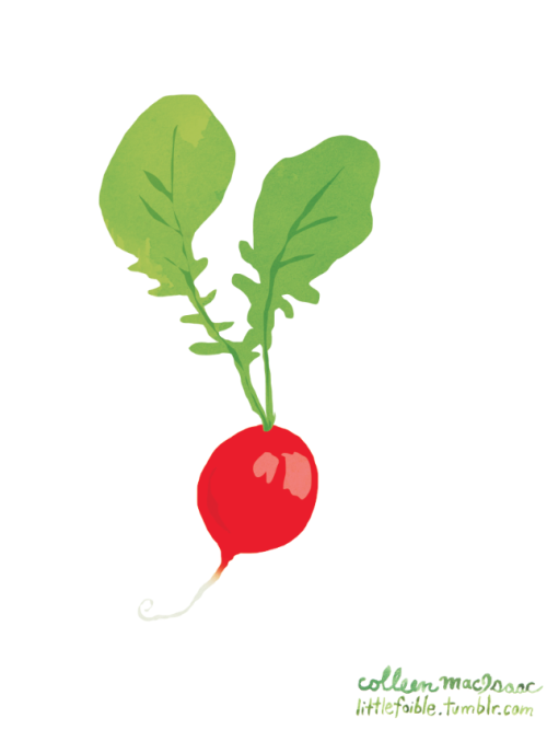 1148 - radish