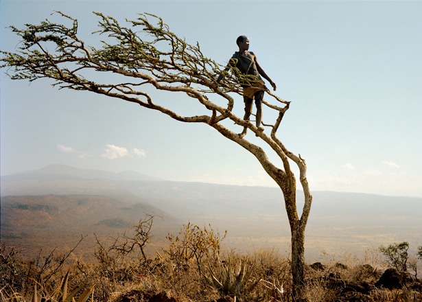 whiffs:  The Hadza &ldquo;They grow no food, raise no livestock, and live without