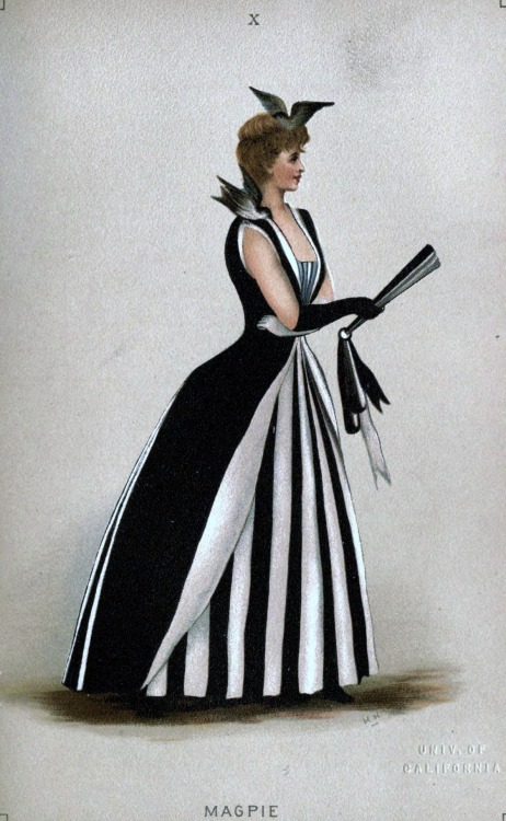 heracliteanfire: The Witch, The Hornet, Magpie. From Fancy dresses described : or, What to wear