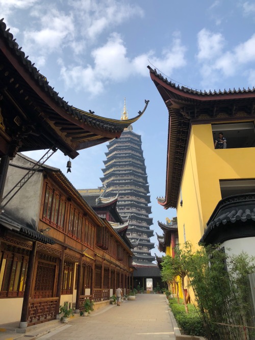 Tianning Temple (Changzhou, China).