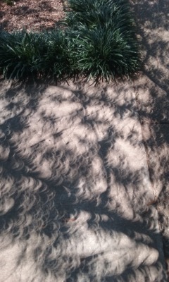 cometcrystal:eclipse shadow pictures! theyre