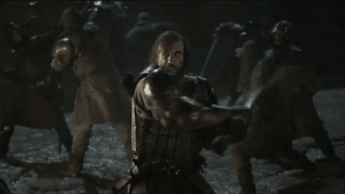 oh-bollocks-alec: YOLO btw spoiler alert: RIP Sandor Clegane. We will miss your crude humor.