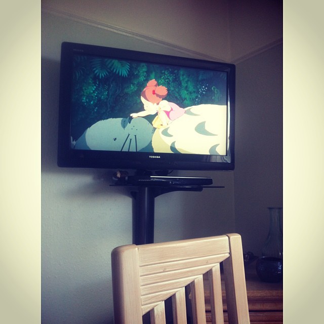 cutiespook:  Totoro time 💗