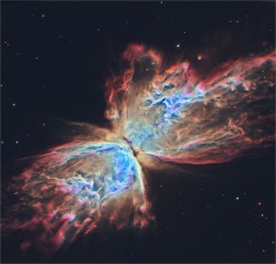 lucienballard:  The Butterfly Nebula from Hubble  Image Credit: NASA, ESA, and the Hubble SM4 ERO Team; 