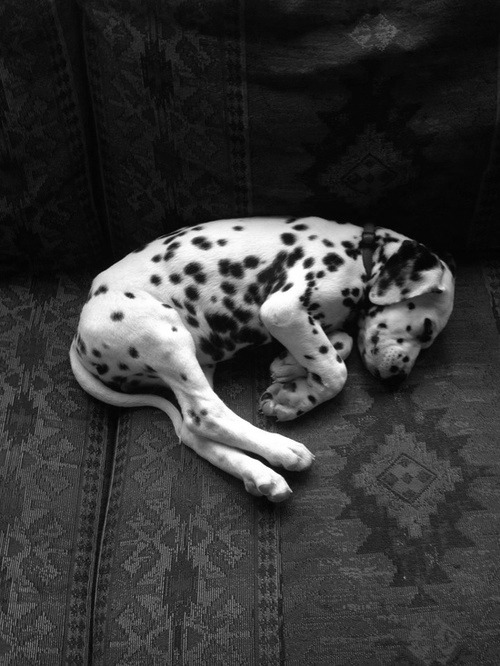 howcali.tumblr.com/post/53793791576/