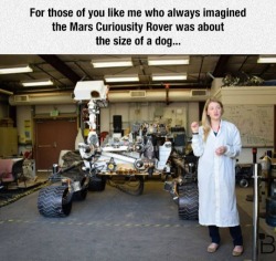 smerchingaround:  madlori:  in-love-with-my-bed:  lolshtus:  he Mars Curiosity Rover’s True Size  i don’t know why it never occurred to me that it would be bigger.    I hope it never becomes sentient 