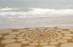 paintvrlife:  Jim Denevan is an artist who turned the typical beach stroll into a gallery-worthy exhibition of gigantic, intricate art. Jim swoops in when the tide is low and leaves behind gorgeous patterns and designs that can only be truly appreciated
