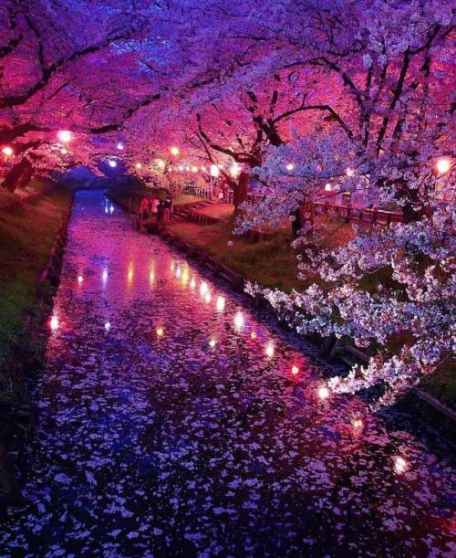 quiet-nymph: Photography by  Tadahisa Hagiwara  