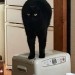 catasters: