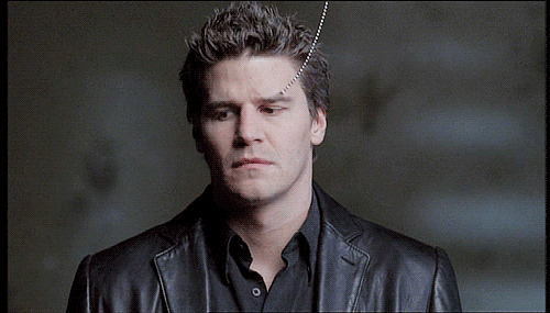 the-do-that-girl:“Yeah - a lot of goats. Goats - many.  Those are goats, guys!”  Angel - Repri