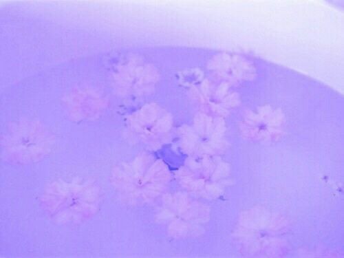 Lavender Brown Aesthetic Explore Tumblr Posts And Blogs Tumgir