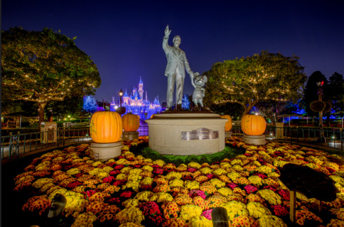 halloweenatdusk:Halloween time at Disneyland