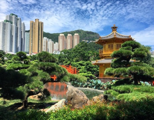 Los jardines de Nan Lian son un oasis de tranquilidad en la agitada ciudad de #HongKong. #viajar (at