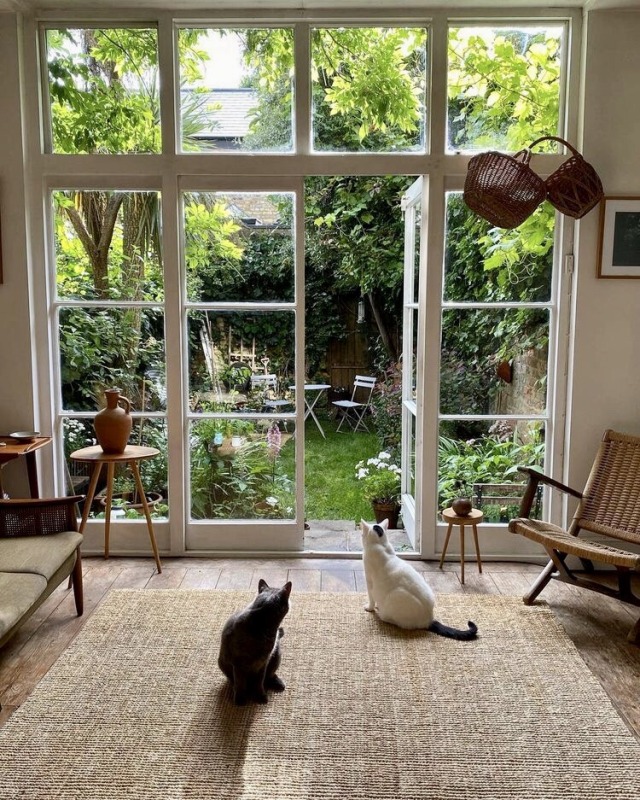 thevisualvamp:Meow 