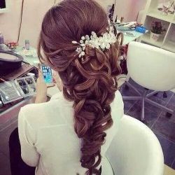 fashion–horse:  prom-/ wedding hair