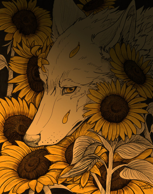loba-maior - Lost in the Sunflowers...