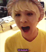 violraptaer:  A minute of our precious SHINee in their natural habitat  