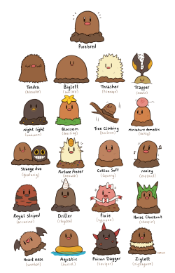 rumwik:   What would happen if diglett could inherit some new and exciting traits? Well, here is my guess!  
