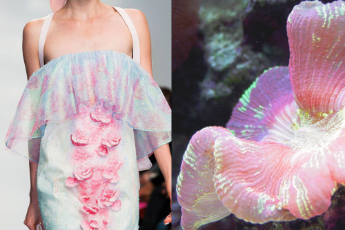whereiseefashion:  Match #198 Details at Manish Arora Spring 2015 | Iridescent coral photographed by saimo_mx70 More matches here 