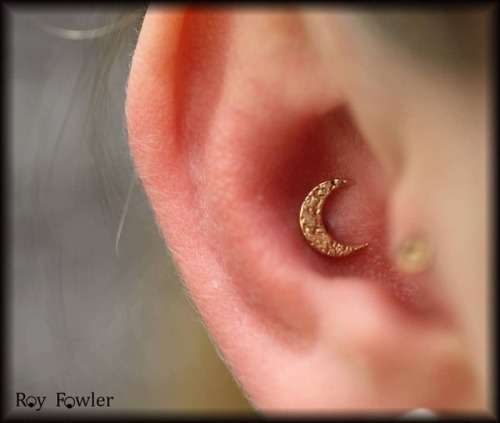 Conch with hammered rose gold moon by @bodygems I did this week. Come see me ag the college rd locat