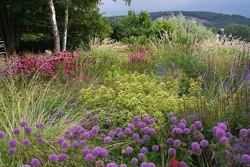 Nature Landscapes