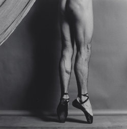 elshalarossa:  jimlovesart:Robert Mapplethorpe