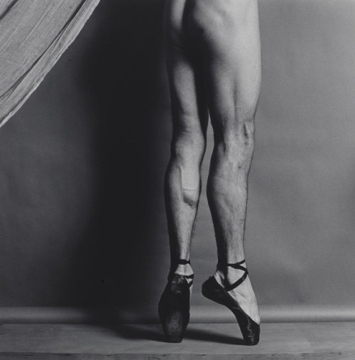 Porn photo elshalarossa:  jimlovesart:Robert Mapplethorpe