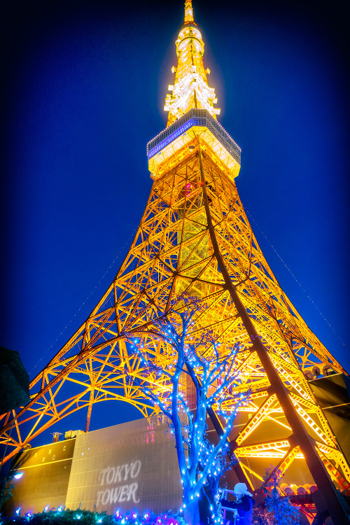 Workers putting up Christmas lights in front of Tokyo Tower tonight.
