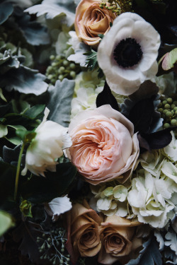 fawndeviney:  Fawn DeViney for Dogwood Floral   ♥