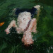 ryebreadgf:mb of art i lovecelia jacobs / kris chau / samantha french / henry moret
