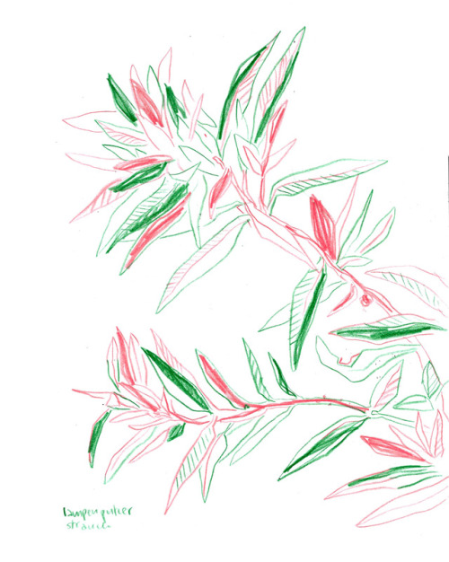 sketchdump