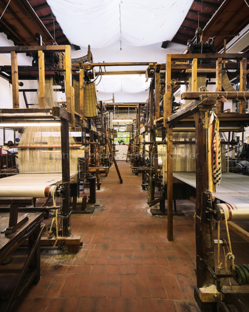 Rows of hand looms, dating back to the 1700s, that can produce a mere 40 centimeters of fabric a day