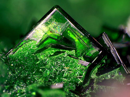 underthescopemin:  Torbernite Tabular torbernite with acicular malachite.Photo Joachim Esche 