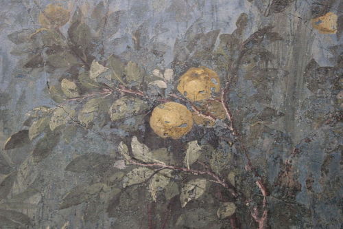 heaveninawildflower: Frescos from Villa di Livia, Prima Porta, Italy (circa, 20 BCE)Photographer -  