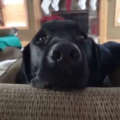 dulect:  when you see that one person that keeps staring at you  