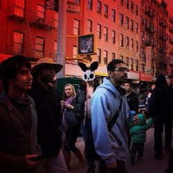 MOTT Street Panda - Chinatown/NYC 2013 