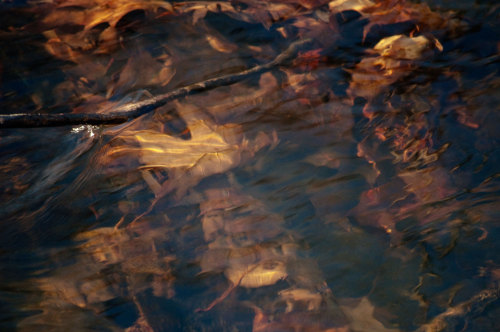 Untitled project about solitude (part 4)