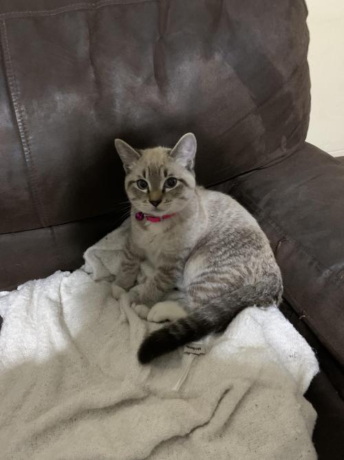 hitmewithcute