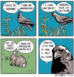 falseknees:Crow gets no respect