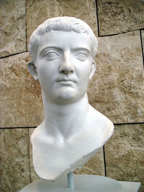 thebackstreetshistorian:last-of-the-romans:Julio-Claudian BustsTop Row: Octavia, Augustus, &amp; Mar