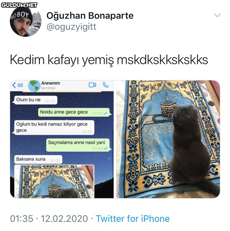 RT @yasanmiskesin: Kedi...