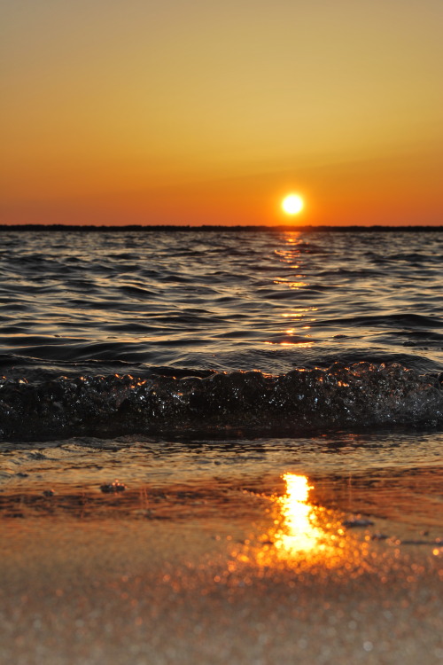 lifeunadorned:  Golden Pearl Setting | More