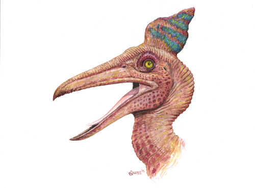 Pteranodon by Brett Gross. Water color on water color paper. 24"x18".