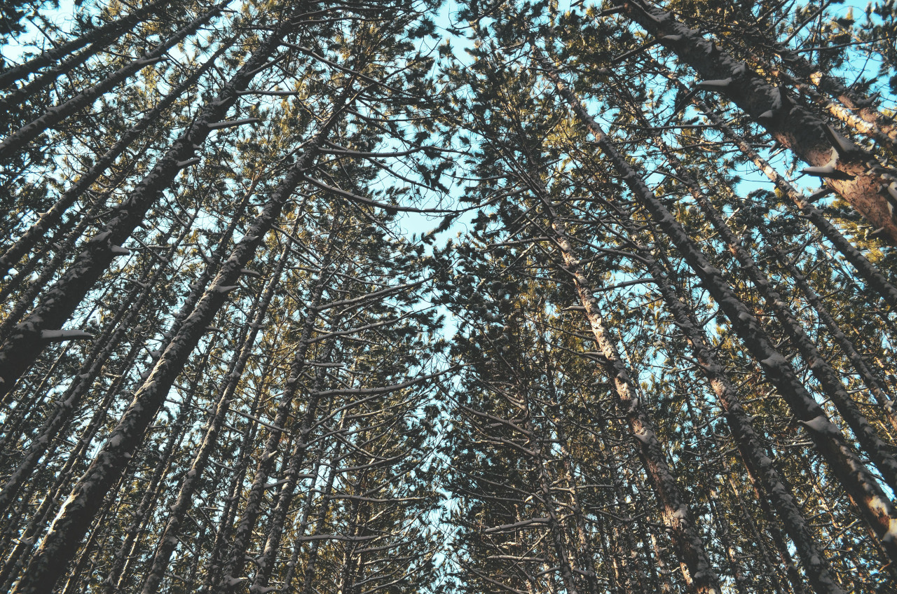 zacharysnellenberger:   Today's Scenery | Zachary Snellenberger 