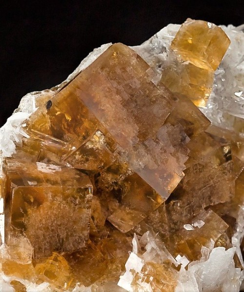 Fluorite on Celestite druzy matrix - White Rock Quarry, Clay Center, Ottawa County, Ohio